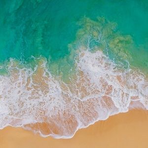 Meet your Posher, Olga